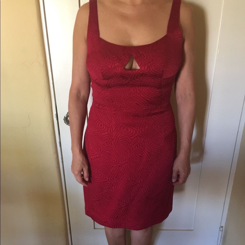 Designer little red ruby dress